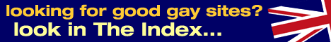 The Gay Index